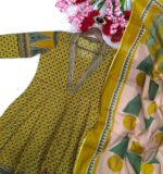 Ombre Georgette Anarkali Geown Set - Image 4