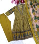 Ombre Georgette Anarkali Geown Set - Image 5