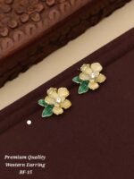 premium Quality western earrinig