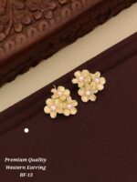 premium Quality western earrinig - Image 10